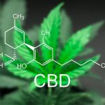 What is CBD and how exactly does it work?